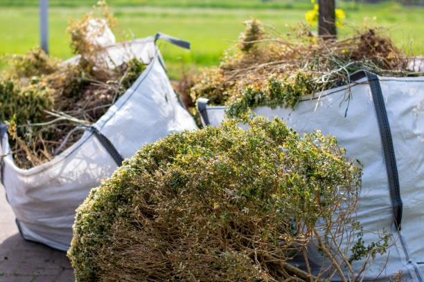 Best Office Junk Removal  in Rogersville, AL